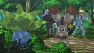 XY089 - Mystherbe.png