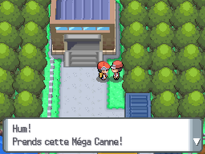 Méga Canne — Poképédia Cannes à pêches dans Pokémon Diamant et Perle