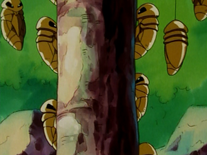 EP004 - Coconfort.png