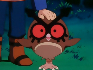 Hoothoot de Régis.png