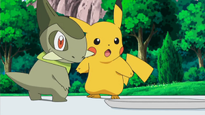 NB008 - Coupenotte d'Iris et Pikachu de Sacha.png