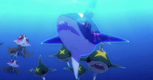 Sharpedo sauvages - Film 17 Intro.png
