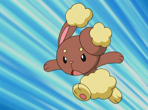DP087 - Laporeille d'Aurore.png