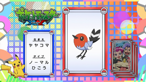 JP - QECP XY1.png