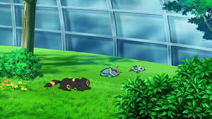 LV120 - Noctali, Aquali et Givrali du laboratoire.png
