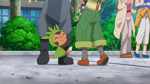 XY138 - Marisson de Martine.png
