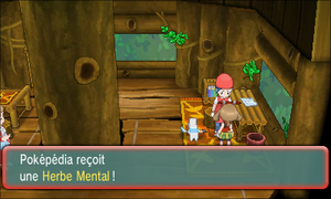 Cimetronelle Herbe Mental ROSA.png