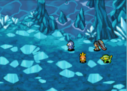 Arrivée de l'équipe au Lac Cristal.