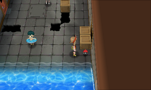 Lavandia Sea Max Repousse ROSA.png