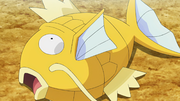 Magicarpe(de Kasoucarpe)