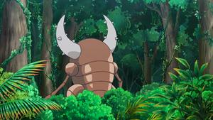 SL105 - Scarabrute.png