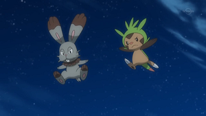 XY070 - Sapereau et Marisson de Lem.png
