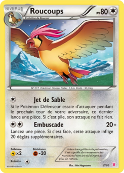 Roucoups (XY Kit du Dresseur Grodoudou 2)