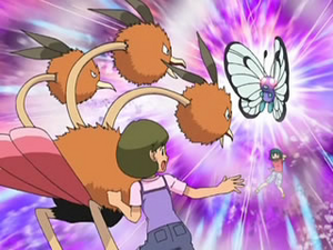 DP088 - Dodrio et Papilusion d'un Dresseur.png