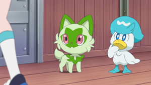 LH011 - Poussacha de Liko et Coiffeton.png