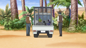 LH035 - Natu, Racaillou, Tritox et Rapion.png