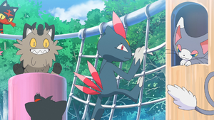 LH040 - Pokémon de Mimiaou 3.png