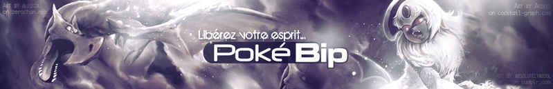 Fichier:Pokébip - 2013.png