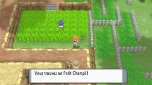 Route 214 Petit Champi DEPS.png