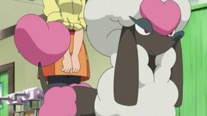 Couafarel Coeur XY008.jpg