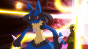 Lucario(de Sacha)
