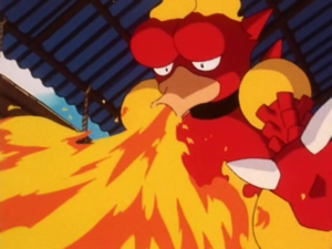 Magmar du père de Benoît.png