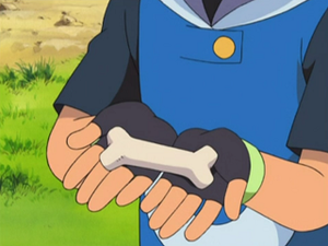 Masse Os animé.png