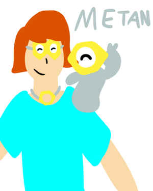 Metan1234321.png