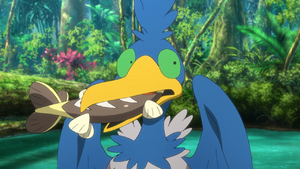 Nigosier Forme Gobe-Tout sauvage - Film 23.png
