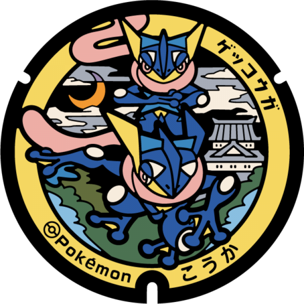Fichier:Poké Lid 238 Koka.png