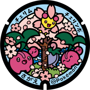 Poké Lid 400 Sagae.png