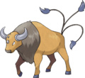 Tauros - 0128