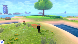 Îlot Calméole Miel ou Bonbon Exp. XS EB.png