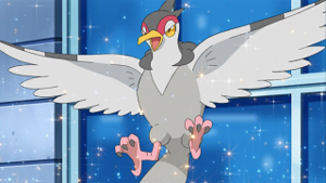 NB022 - Colombeau de Sacha.png