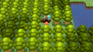 Route 212 Arbres à Baies 2 DEPS.png