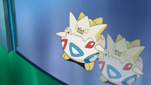 Togepi Clonage.png