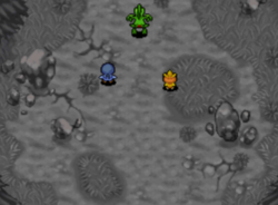 Point de rencontre entre Massko et Celebi.