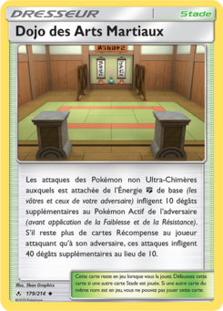 Dojo des Arts Martiaux (Soleil et Lune Alliance Infaillible 179)