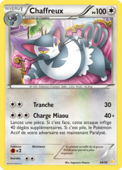 Chaffreux (XY Kit du Dresseur Pikachu Catcheur 24)