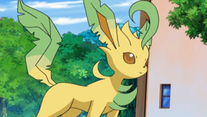 DP155 - Phyllali de Zoé.png