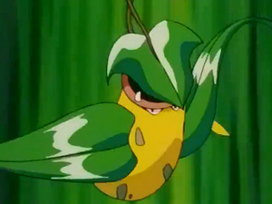 EP222 - Empiflor de James.png