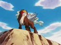 Entei (sauvage)