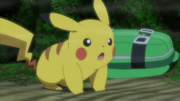 Pikachu(de Sacha)