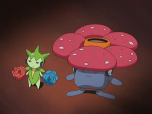 Rosélia et Rafflesia de Sheridan.png