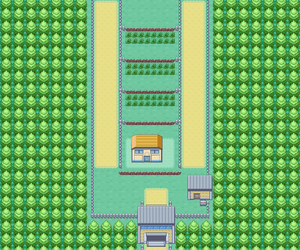 Route 5 (Kanto) RFVF.png