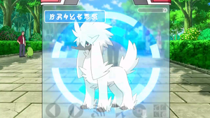 XY008 - Couafarel Pokédex.png