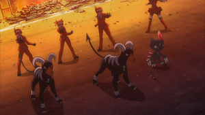 XY134 - Farfuret d'un Sbire de la Team Flare.png