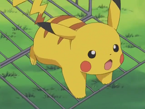 AG036 - Pikachu de Sacha.png