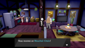 Corrifey Mouchoir Choix EB.png