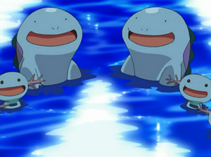 DP004 - Axoloto et Maraiste.png